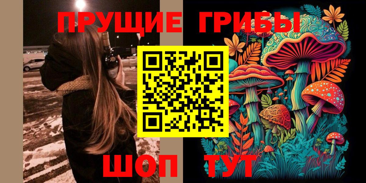 Псилоцибиновые грибы Cubensis Обь